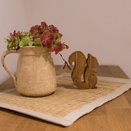 Haus Waldfrieden Apartment Altenberg ภายนอก รูปภาพ