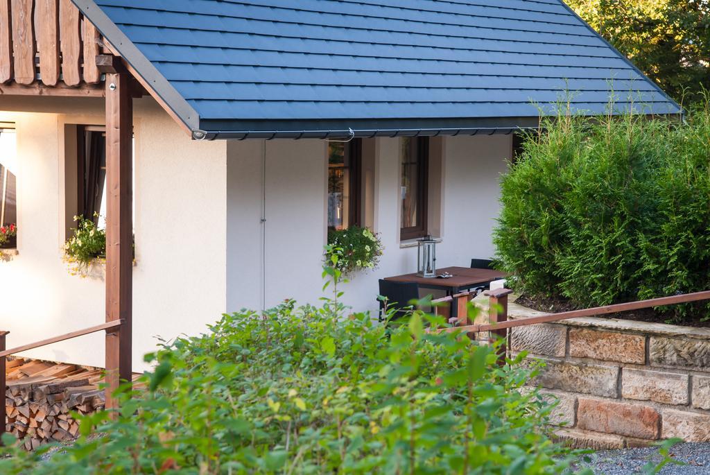 Haus Waldfrieden Apartment Altenberg ภายนอก รูปภาพ