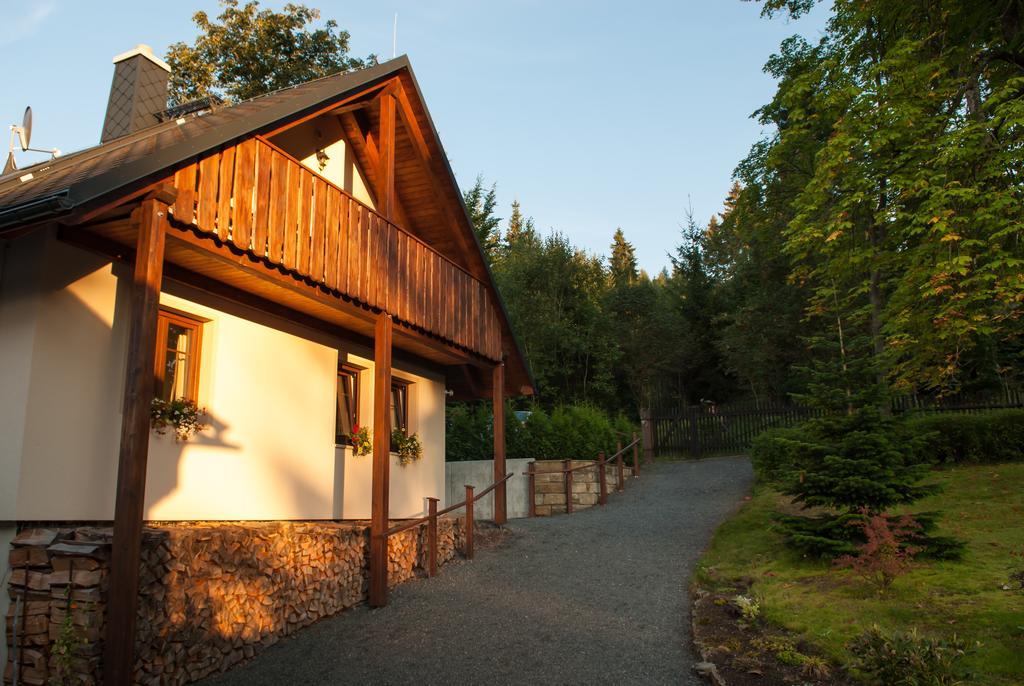 Haus Waldfrieden Apartment Altenberg ภายนอก รูปภาพ