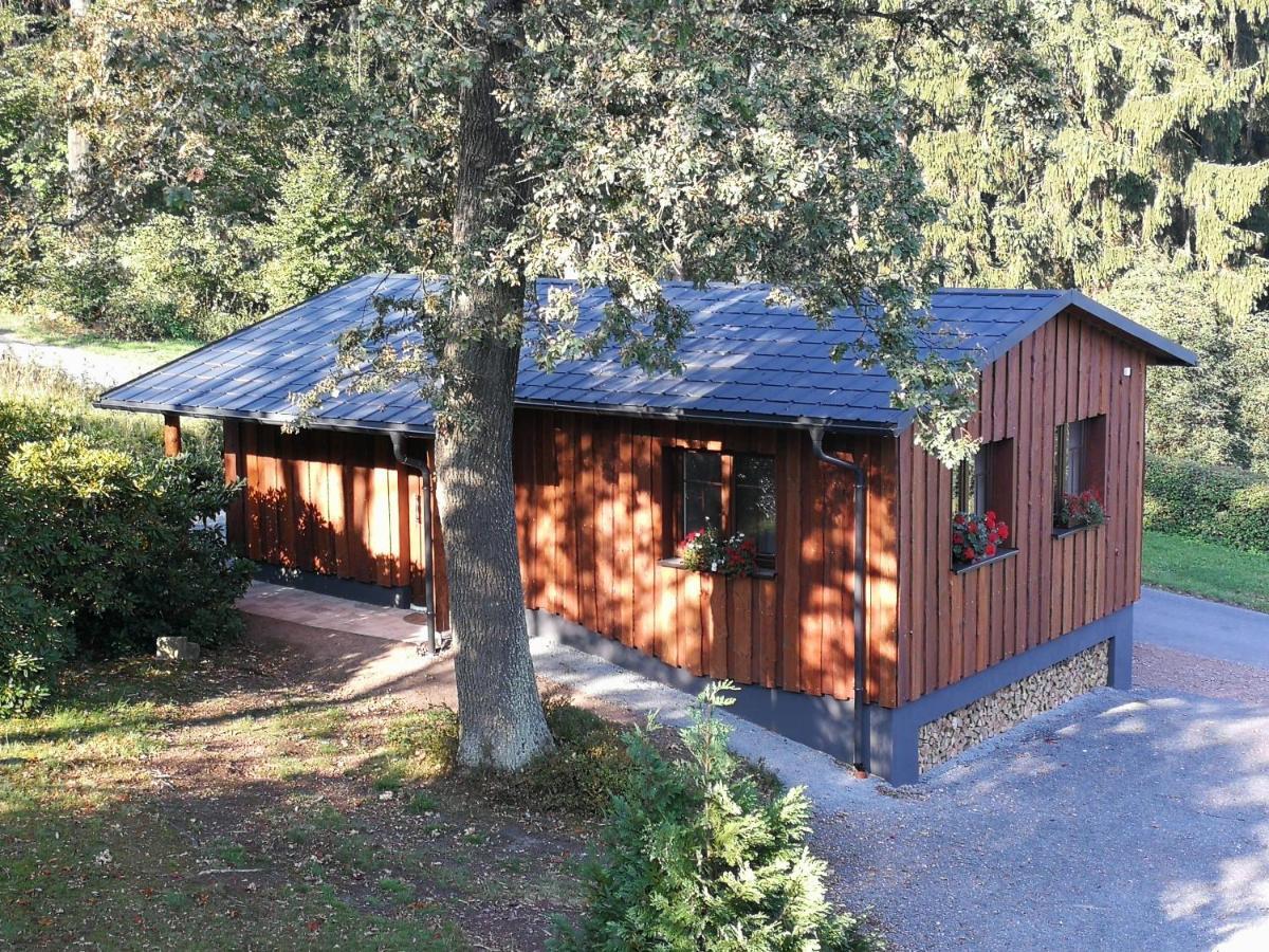 Haus Waldfrieden Apartment Altenberg ภายนอก รูปภาพ