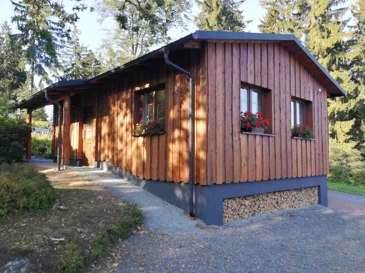 Haus Waldfrieden Apartment Altenberg ภายนอก รูปภาพ